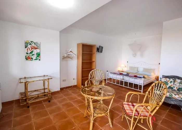 Gasthuis Pinkflamingo